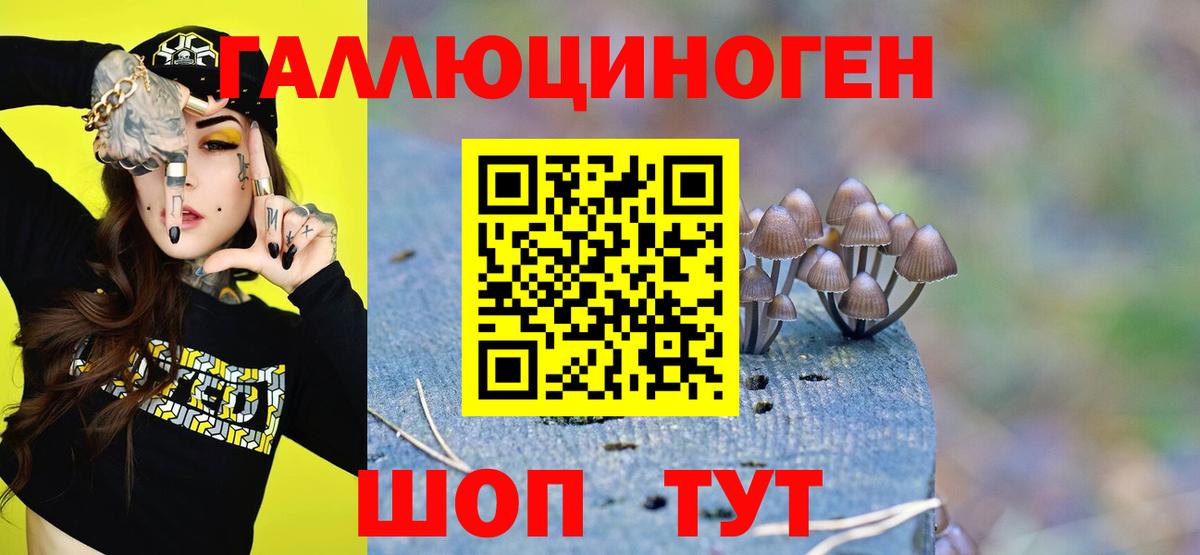 Псилоцибиновые грибы Psilocybe  Вход с VPN  Алексеевка 