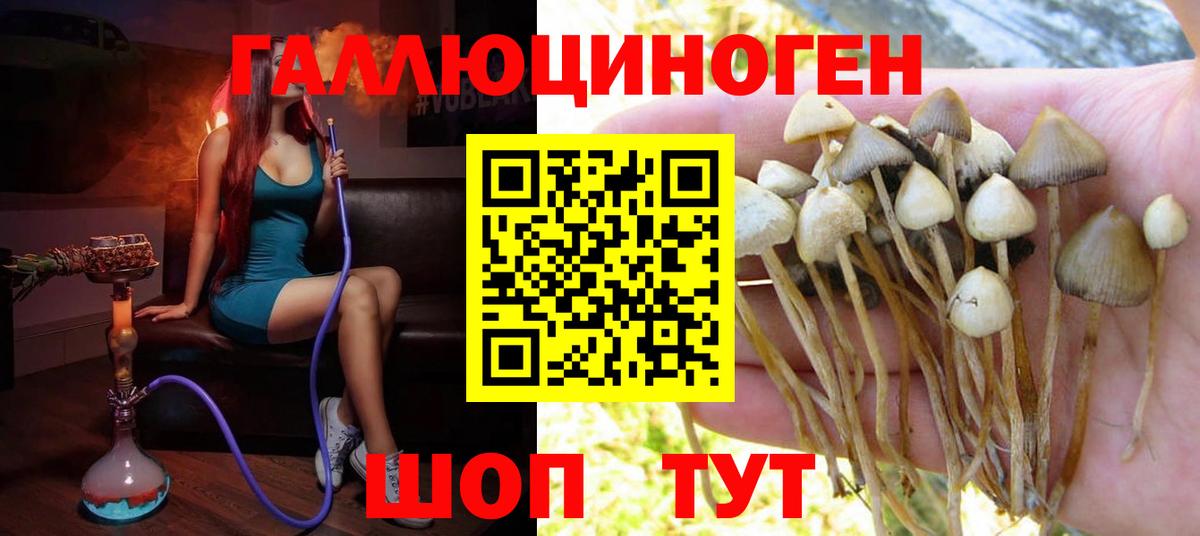 Псилоцибиновые грибы мицелий Алексеевка